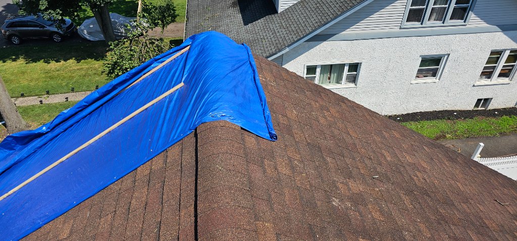 Tan Shingle Completed 2025 B