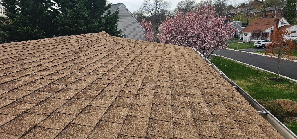 Chainsaw Tree On Roof 2025 B