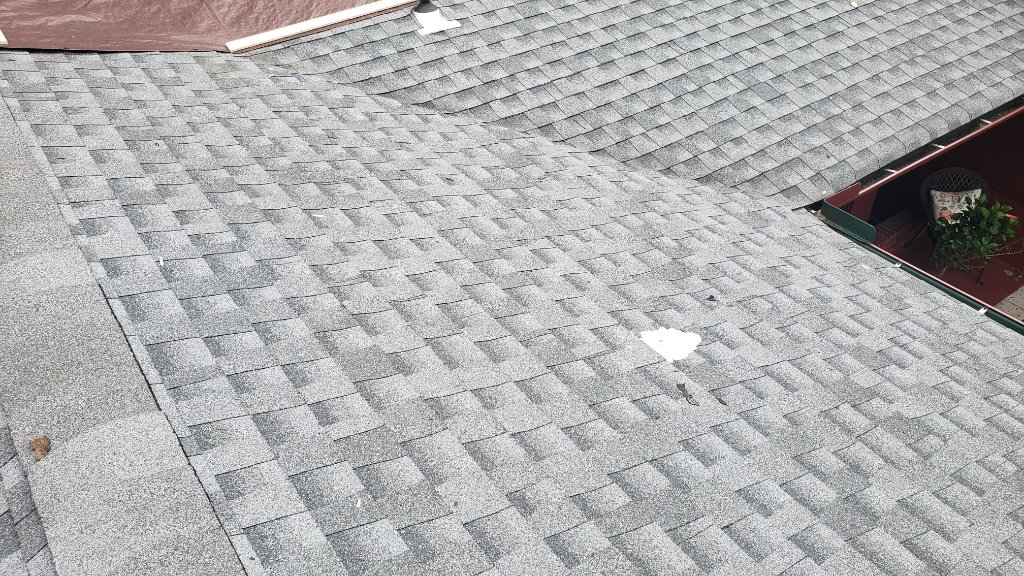 Shingle Granule Loss — Repair