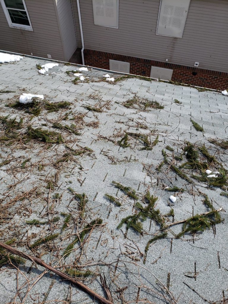 Snow & Shingle Damage WA