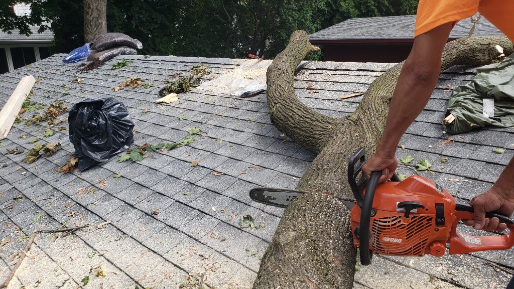 Tree Cleared — House View