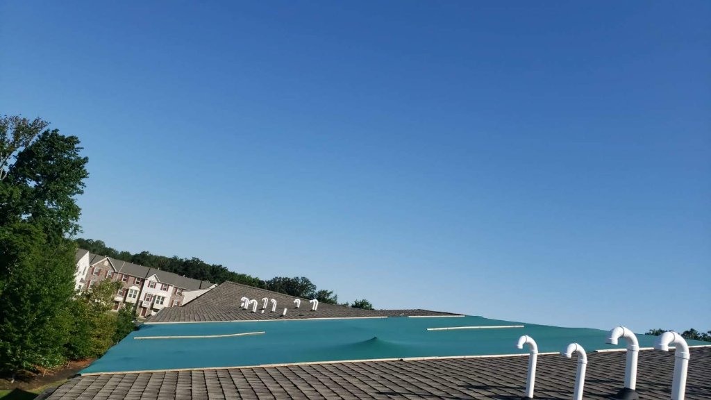 Green Tarp Apartment Roof