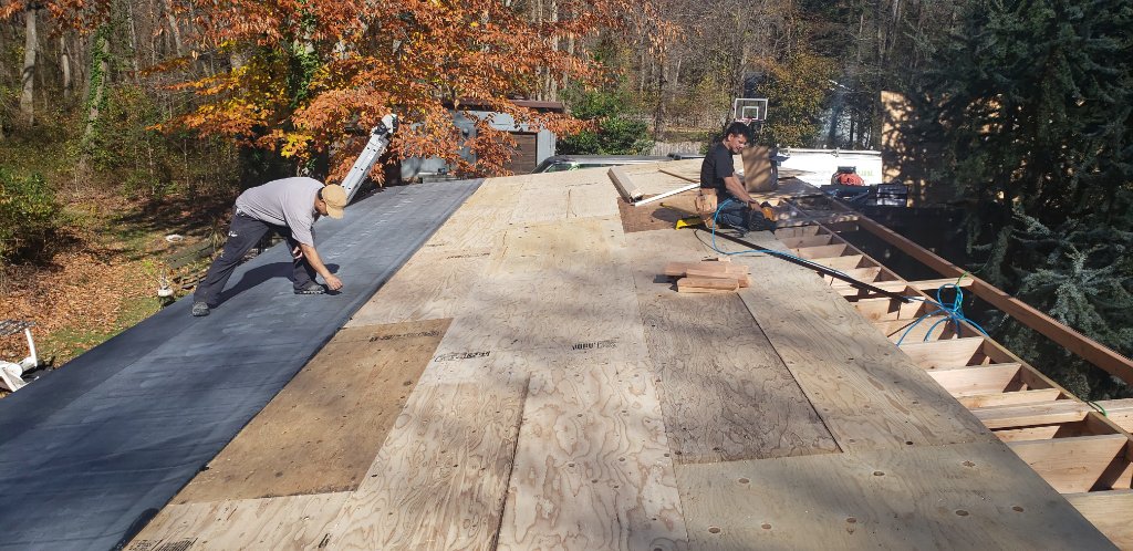 Flat Roof + Plywood 2020