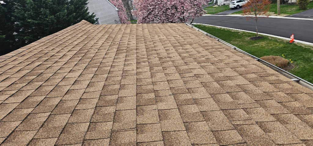 Tree Debris On Metal Roof