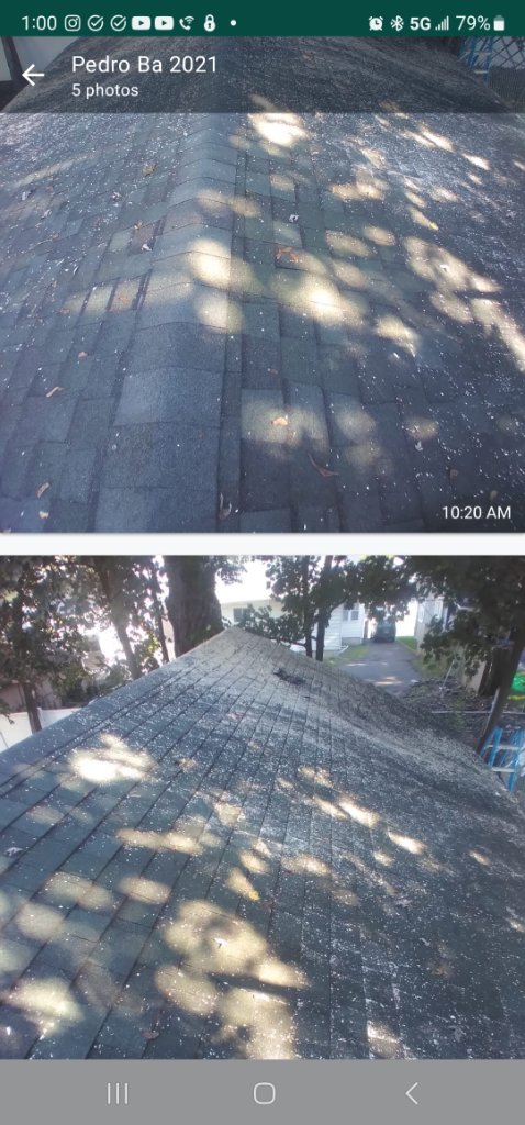 Shingle Damage Inspection 2023