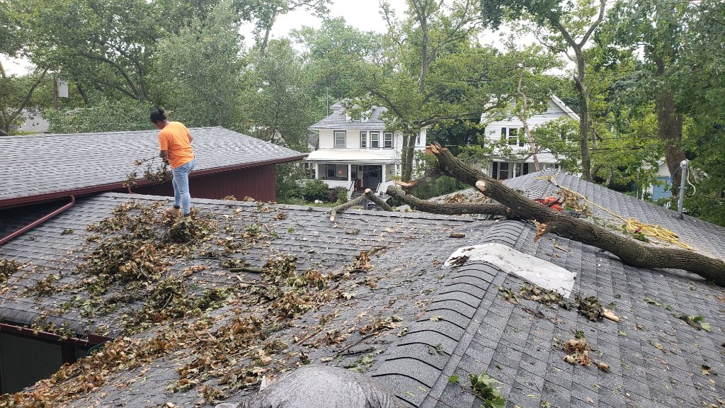 Tarp Roof After Tree Removal