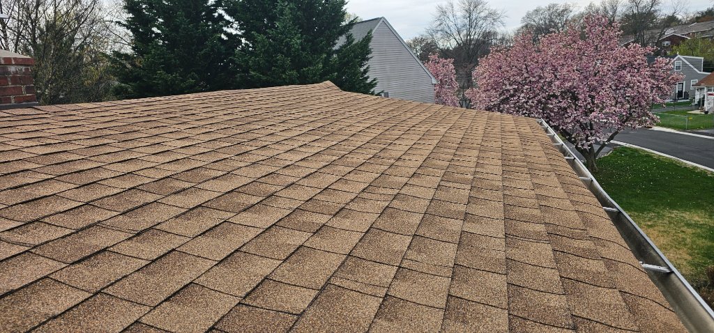Brown Tarp Repair — 2025 C