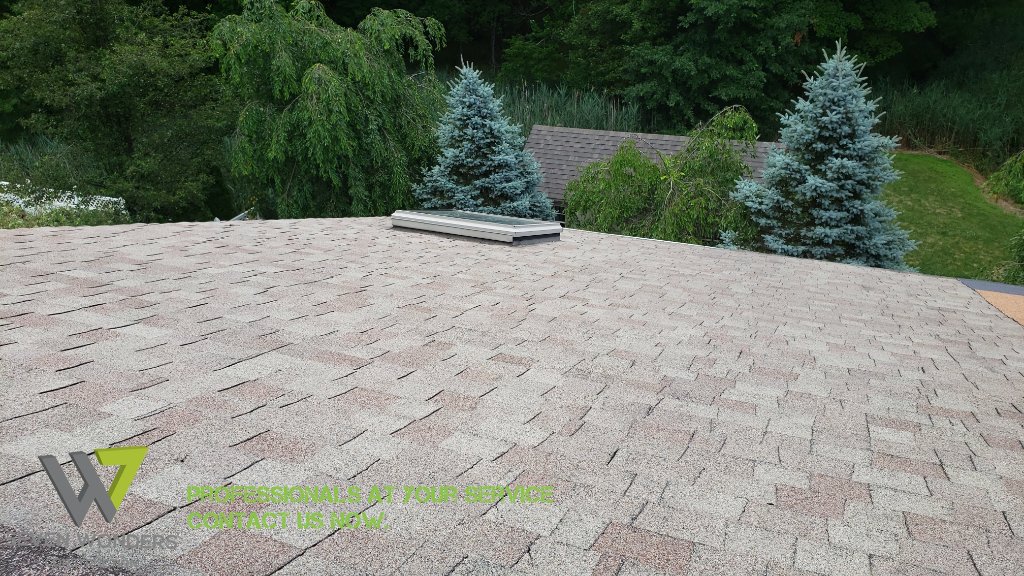 Skylight Roof — Inspection