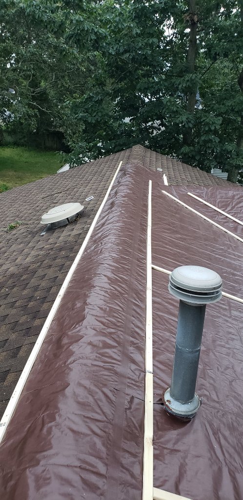 Tarp + Shingle Roof View
