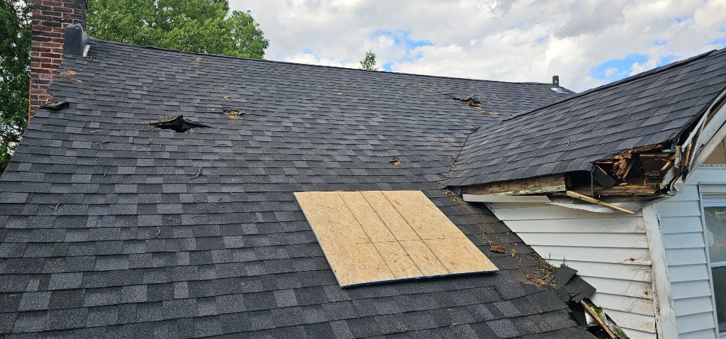 Completed Roof — Dumpster