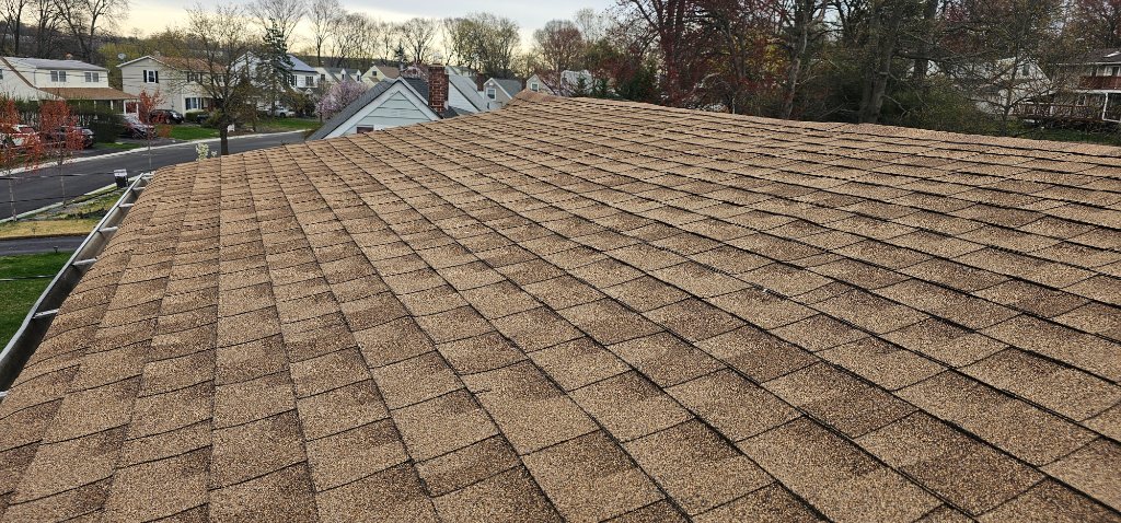 Metal Roof Tree Damage 2025
