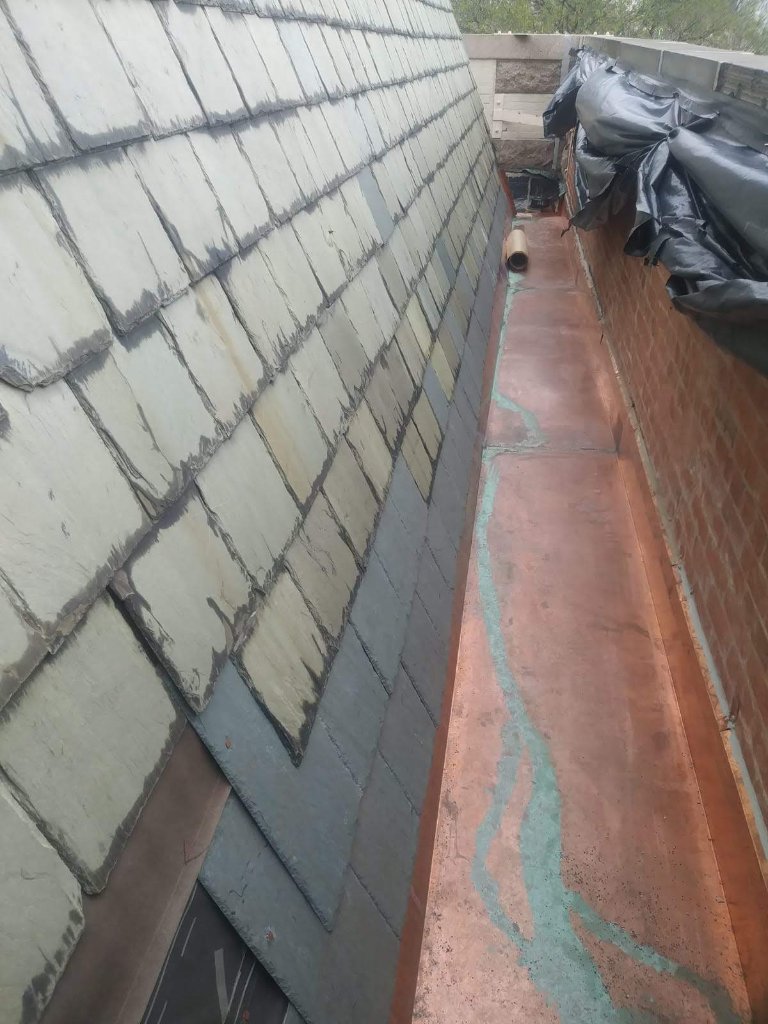 Flat Roof WA 2019 A