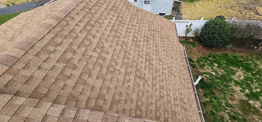 Tree Log On Metal Roof