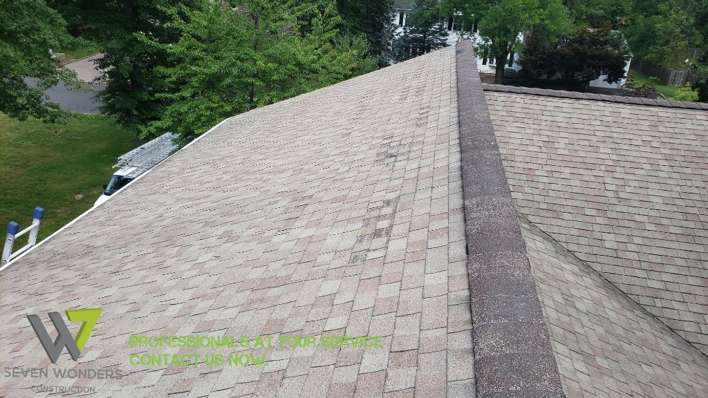 Shingle Granule Loss — Before