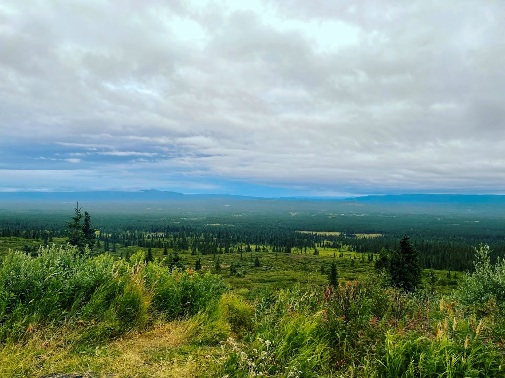 Alaska landscape