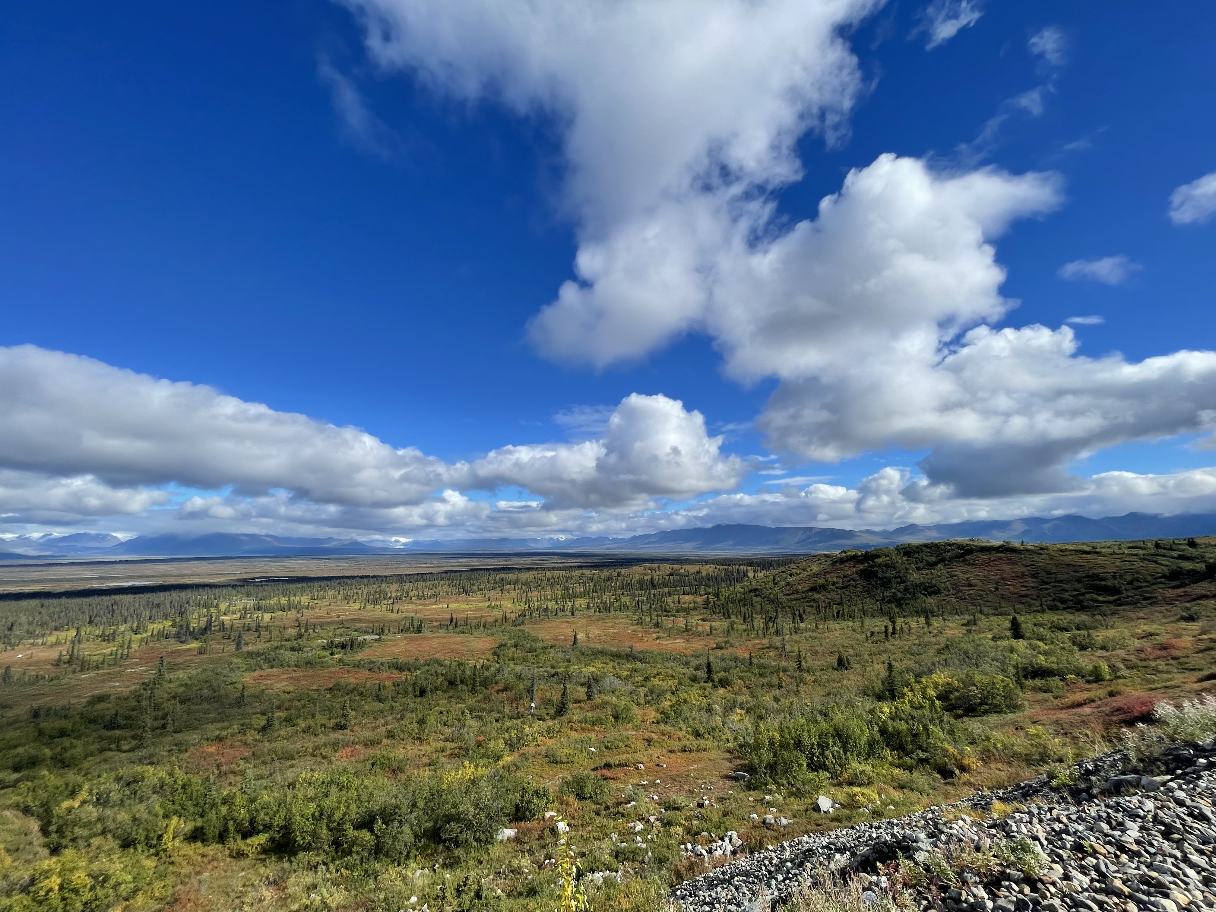Tundra & Rolling Mountains