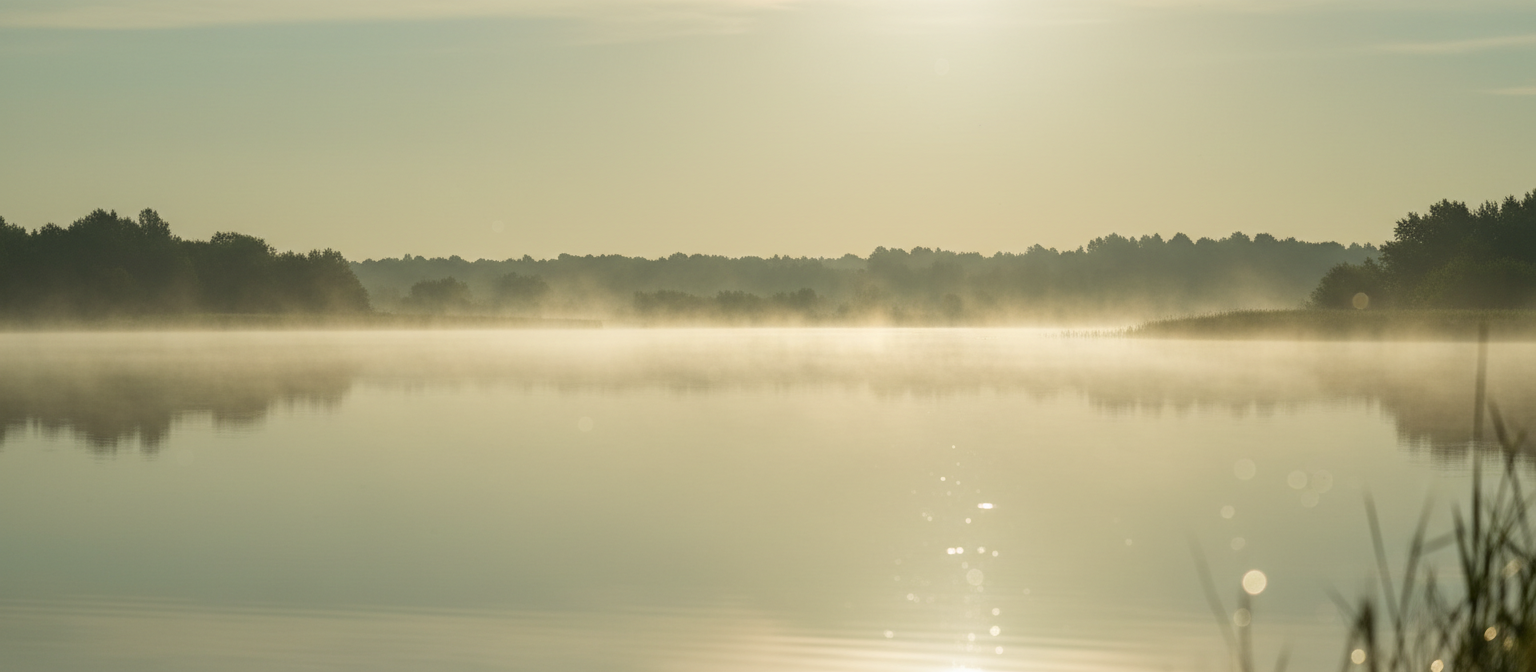 Still lake at dawn