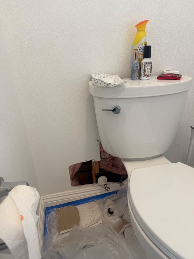 New PEX lines with copper stub-outs installed inside open wall cavity