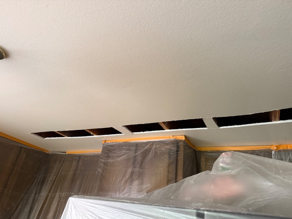 Bedroom ceiling access holes with furniture and walls fully protected