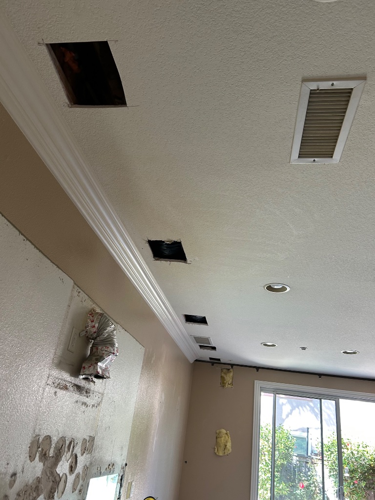 Living room ceiling access holes with crown molding — drop cloths in place
