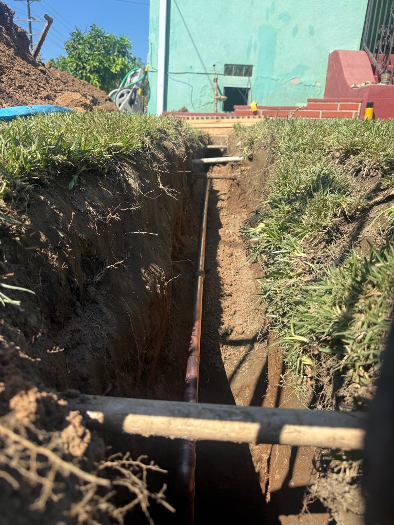 Hallway protected during repipe — bathroom visible