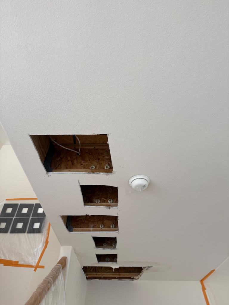 Ceiling access holes cut for pipe routing — smoke detector visible