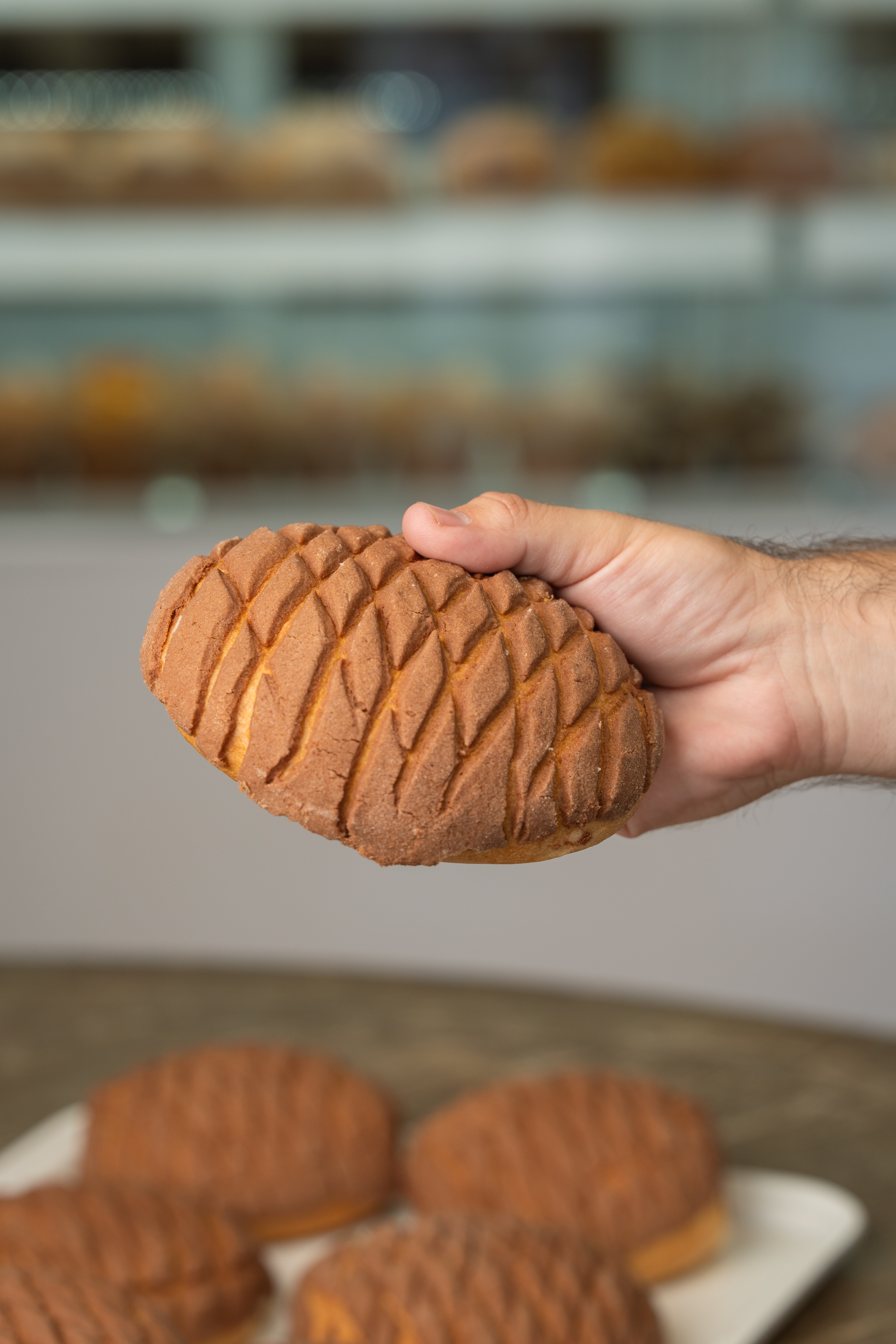 Hand holding a cocoa concha