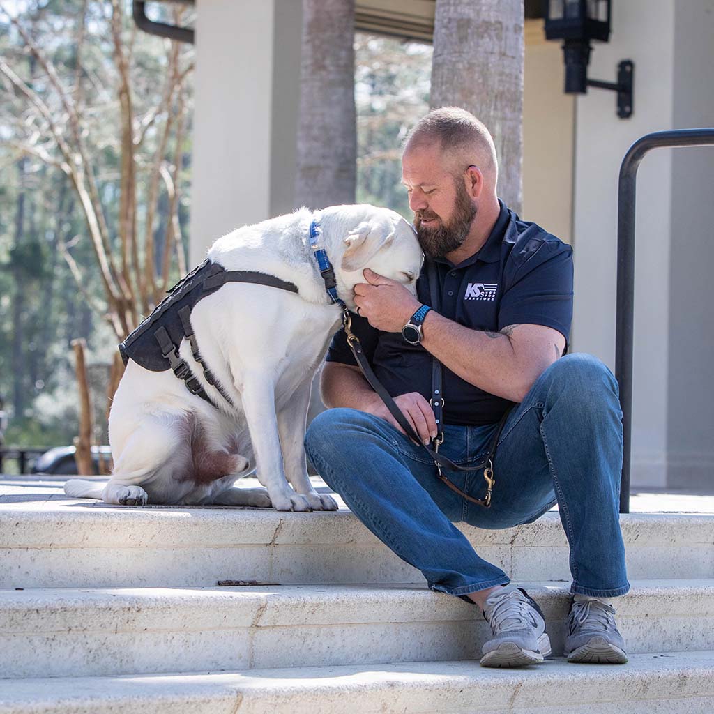 Service dog supporting a veteran