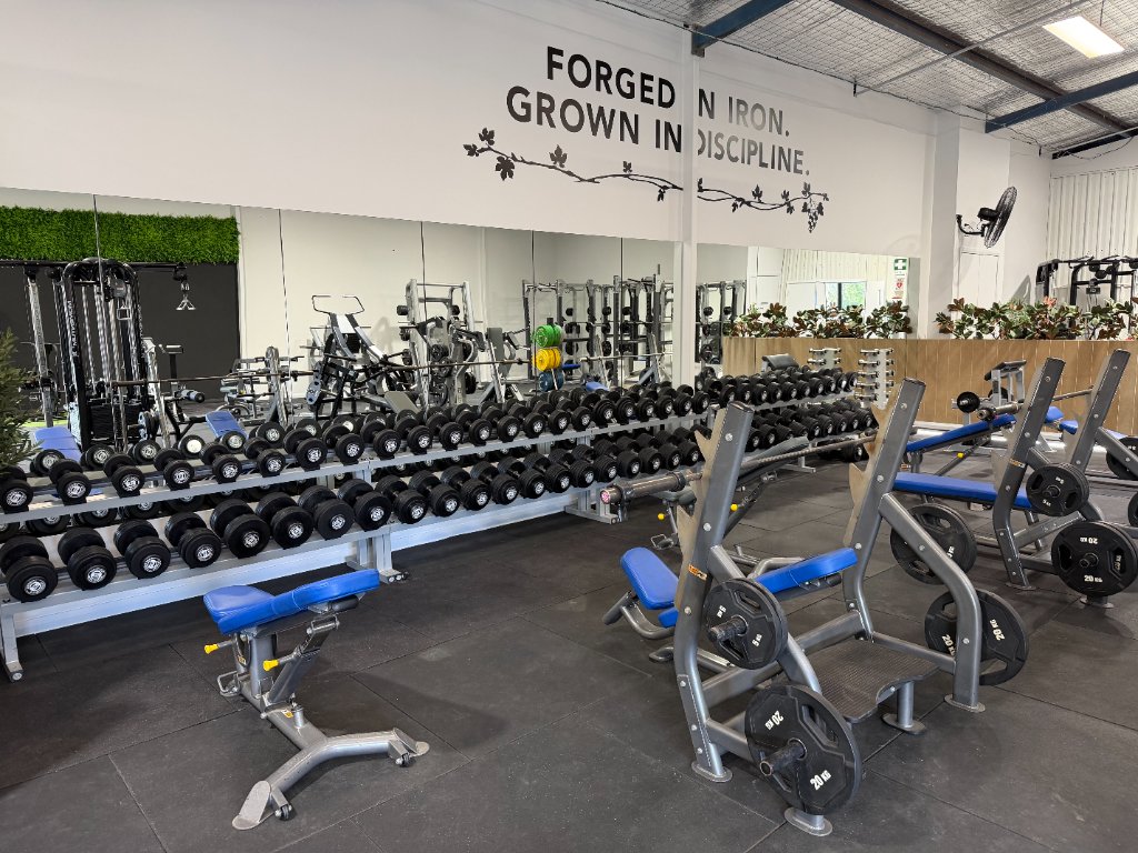 Free Weights Zone