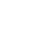 Spinin logo