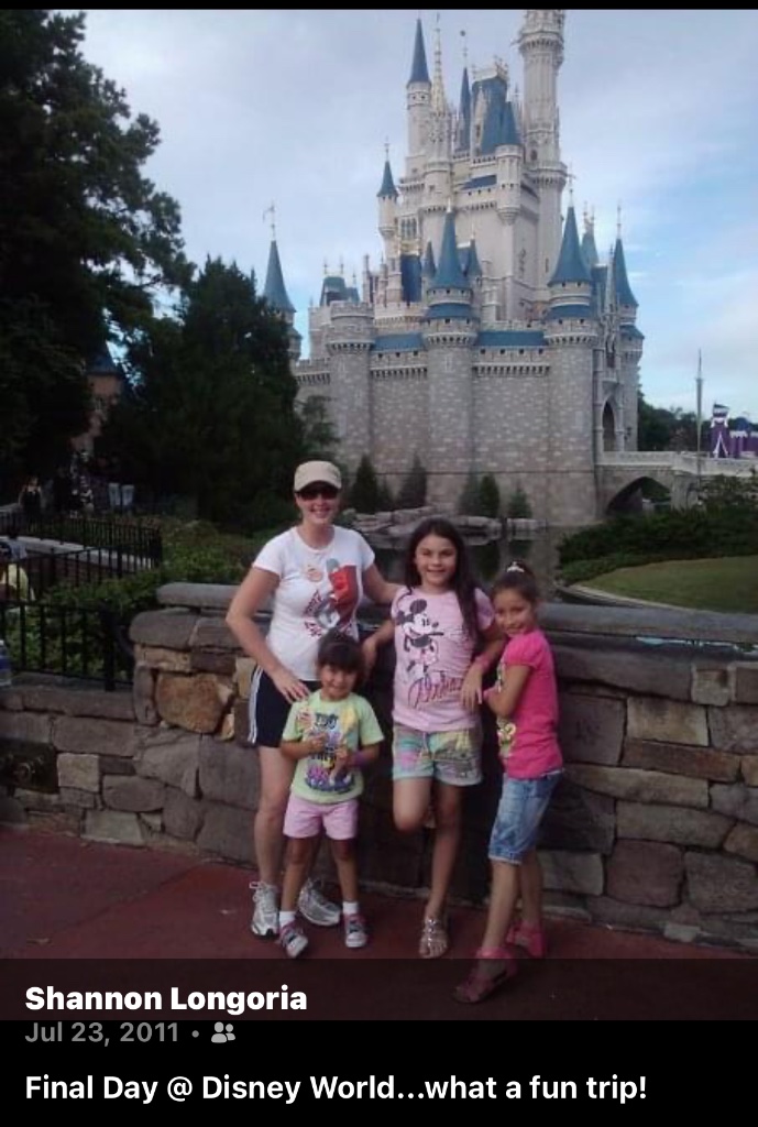 Magic Kingdom, 2011