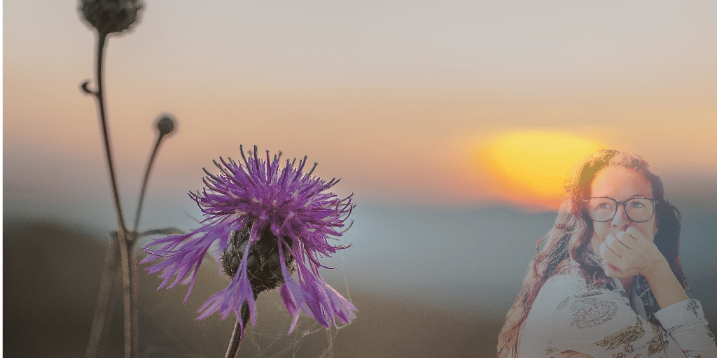 Choosing to Elevate Our Perception — Clarity & Alignment article by Aline Hanle