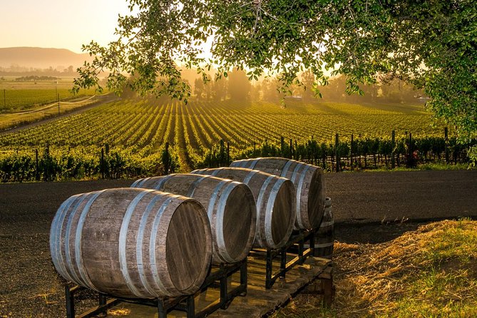 Wine country vineyard Wimberley