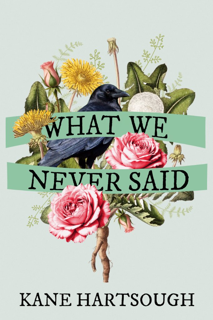 What We Never Said