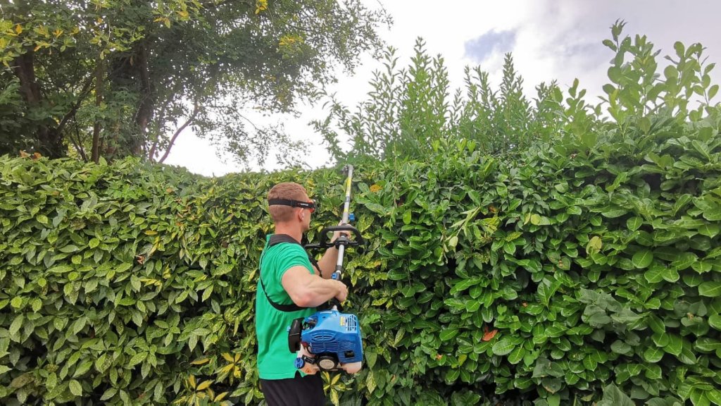 Landscaper from Landscaping Basingstoke trimming a garden hedge to a neat, level finish