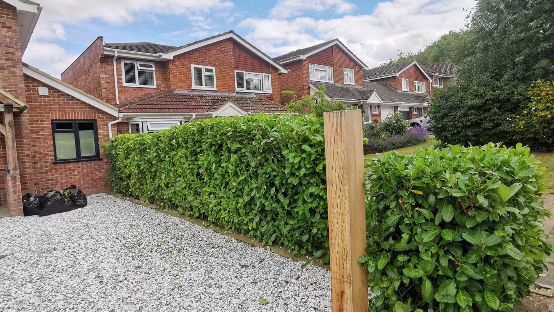 After - Front laurel hedge trimmed back to a flat, level line above a gravel driveway - Basingstoke