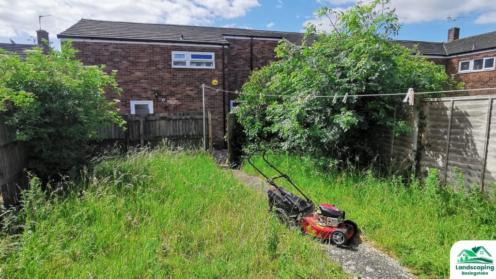 Before: overgrown hedges and borders in a Basingstoke garden cut back to a neat finish