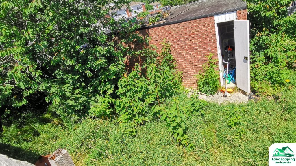 Before: front garden in Chineham, Basingstoke tidied with trimmed shrubs and a clean lawn edge