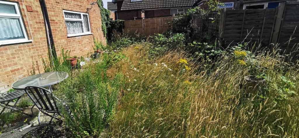 Before: Overgrown rear garden in Basingstoke cleared of brambles and waste, leaving a level, tidy lawn area