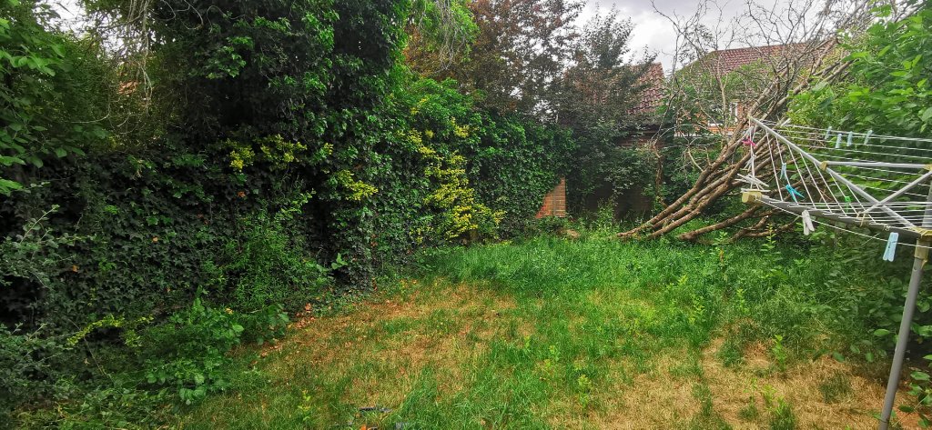Before: rear garden in Basingstoke transformed with new turf, fencing and planted borders