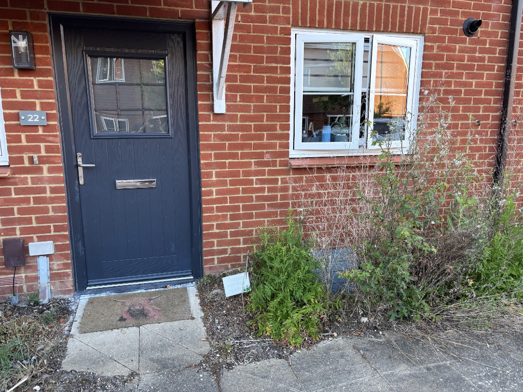 Before: Front garden in Basingstoke cleared of weeds and finished with bark mulch and tidy shrub borders