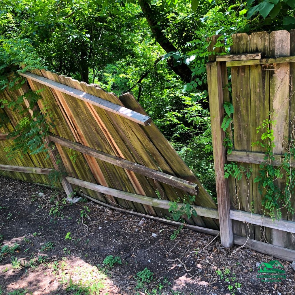 Fencing Boundaries: Rules, Regulations and Responsibilities Explained