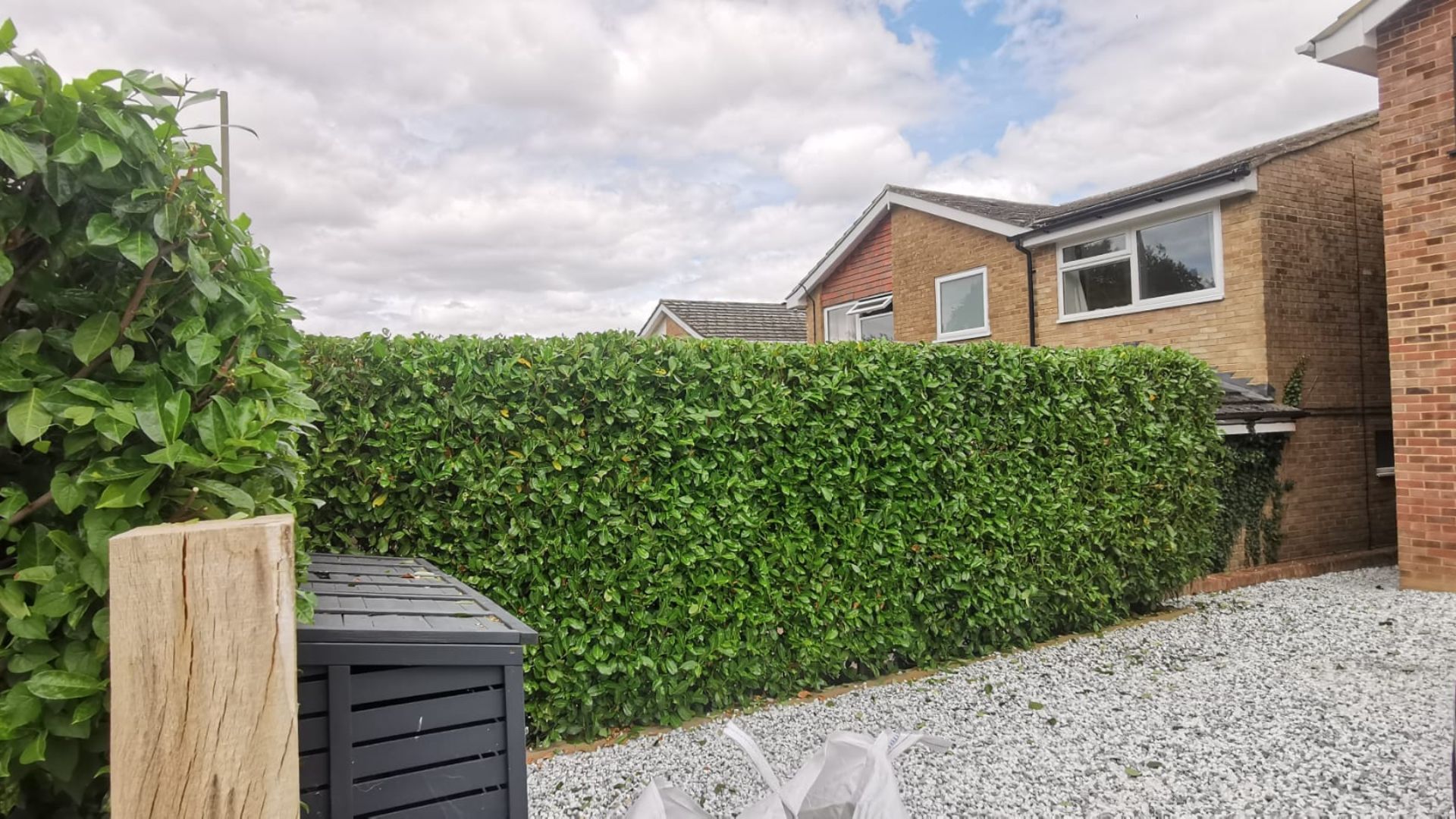 After - Laurel hedge reduced and squared up along a gravel path - Basingstoke