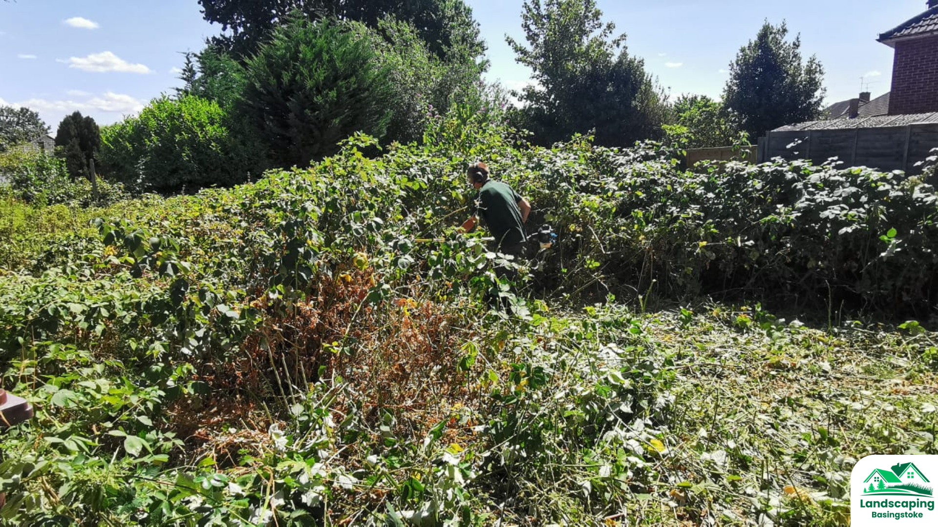 Garden clearance in Basingstoke by Landscaping Basingstoke