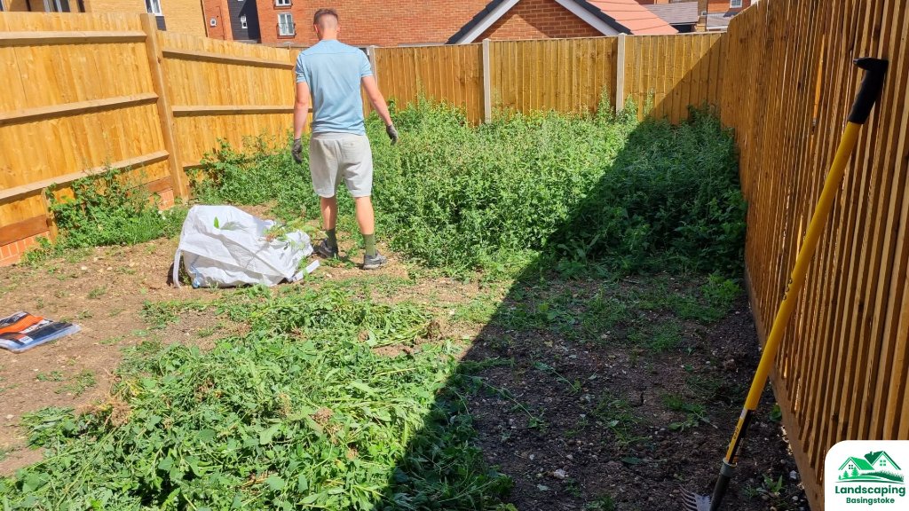 Before: Overgrown Basingstoke back garden cleared and finished with freshly laid turf and clean lawn edges