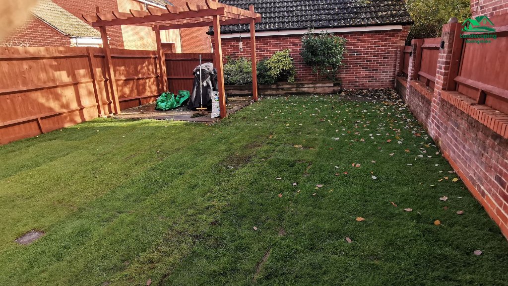 Lawn Repair & Restoration