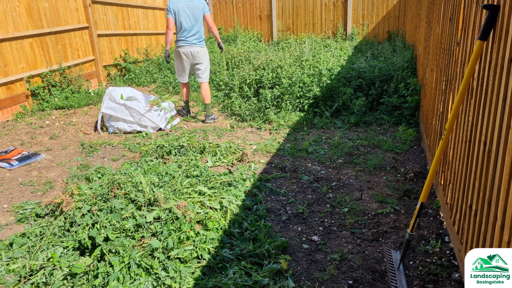 Overgrown garden before redesign in Basingstoke