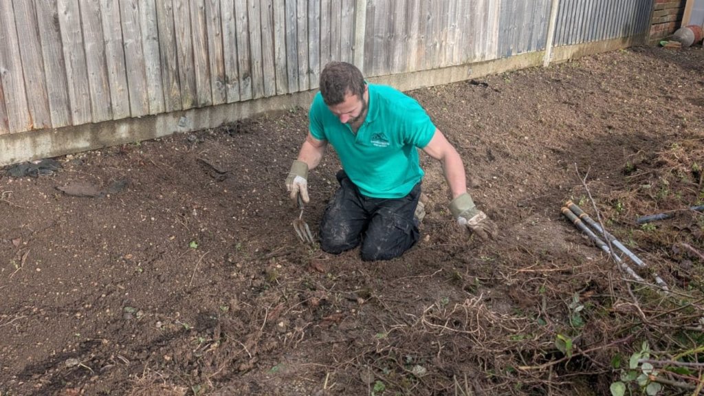 Landscaping Basingstoke team clearing roots and weeds by hand during garden clearance