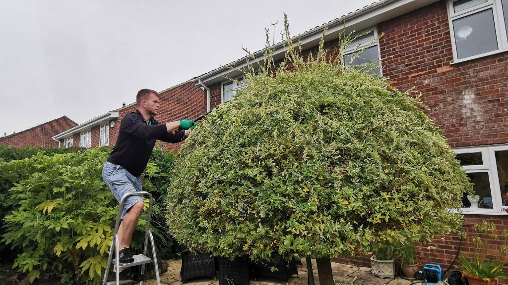 Landscaping Basingstoke team