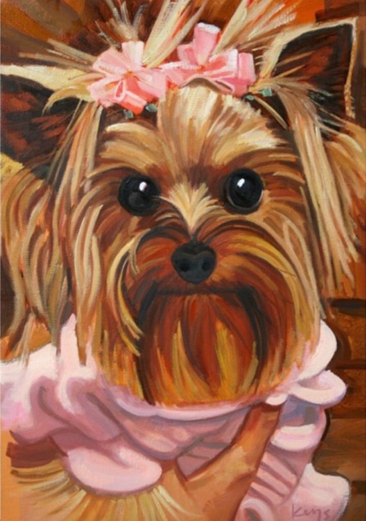 Shih Tzu with Pink Bow